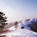 신화랑풍류숲길 이미지