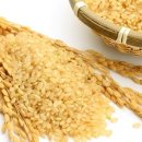 눈이 살아 있는 쌀 현미 효능 칼로리 이미지