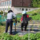 섬김농장 이미지