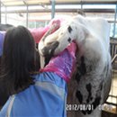 자영목장 이미지