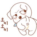 퍼피타임 이미지