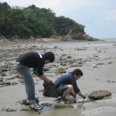 해밀펜션 이미지