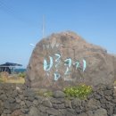 코지목장 이미지