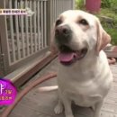 상상농장3 이미지