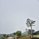 [포천 골프장 추천] 가성비와 서비스에 반하고 온 '푸른솔 GC' 솔직 후기! (코스, 뷔페, 난이도)