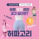영신군이이묘 | 허파고리당일후기부터 4개월차 실제사례(+365mc)