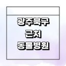 다올동물병원 | 광주 북구 근처 동물병원 추천 잘하는곳 정보 강아지 고양이 후기 24시간 수술 중성화 새벽 가격 비용 주말