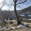 강화인삼센타 다미네