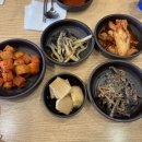 옛날 보신탕 | 대전 용전동 밥집 우사미 소고기보신탕 내돈내산 후기
