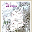2019년 새봄의 기운이 물씬 풍기는 봄꽃 축제 일람표 이미지