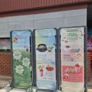 동산 | 포천 딸기따기 체험 농장 추천 서운동산 솔직후기 (딸기청·동물먹이 체험 포함)