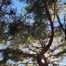 그림책 교육 지도사 과정(자격증) 이미지