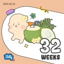 [홍시 일기 👶🏻] 32주 - 35주(9개월) 기록