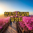 강우량관측장비 | 창원 천주산 진달래축제 일정·개화팁