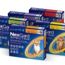 꿀단지약국 이미지