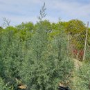 태림농장 이미지