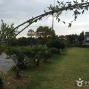 우리 두리 펜션 이미지