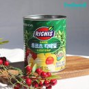 리치스 이미지