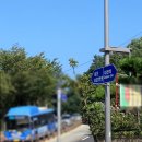 사촌보건진료소 | 리얼 코로나 검사 후기