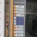 [둔산동 미용실]에이티앤피 아트터닝 포인트 대전점 클리닉 후기