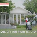 프랑스올리브 이미지