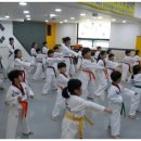 용인대 은성 태권도 이미지