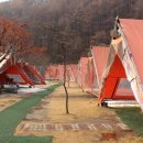 녹수원글램핑 이미지