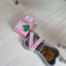 두리메디 이미지