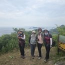 제172차 26년6월 정기산행 충남 보령 외연도 섬산행(26년06월07일) 이미지