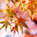 더바른이비인후과의원 이미지