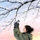 사랑방세탁소 이미지