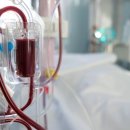 스마트동물병원 이미지