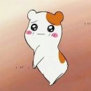 동양썬팅 - 남동구 백범로 299 | 동양썬팅