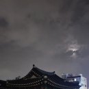 뚱땡이멸치국수포차