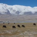 실크로드 민박 이미지