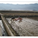 운봉의뜰 이미지