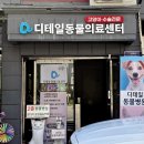 광명 철산 동물병원 디테일동물의료센터, 친절하고 꼼꼼한 강아지 건강검진 추천 후기