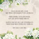 백스테이 | 수도권 밝은홀 출장비 없는 가성비 10만원대 아이폰스냅 &#34;솔솔스냅&#34; 계약 후기 + 짝꿍 할인코드
