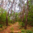 지리산신선둘레길 이미지