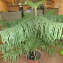 고려인태권도장 이미지