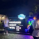 물나이트 | [운동] 한강나이트워크42K 솔직 후기