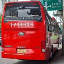 용성국제여행사 이미지