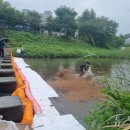 탄동천1 이미지