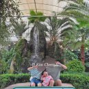 오렌지아트어린이집 | [25.9.30.화] 9월 🚶‍♀️걷기 운동 5달 차 후기