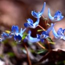 월드당구클럽 이미지