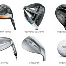 챔피언골프 이미지