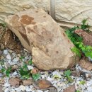 아라뜰2호점 이미지