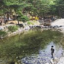 금물산하늘소캠핑장 이미지