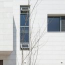 건축사사무소 마당 이미지