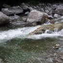 왕소나무민박 이미지